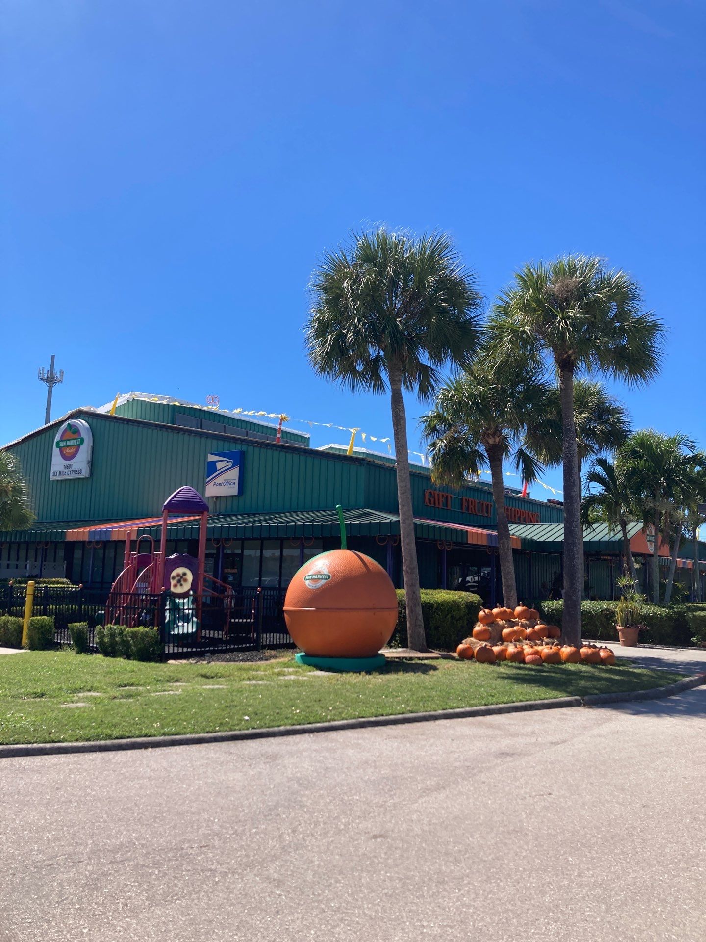 Sun Harvest Citrus roof work